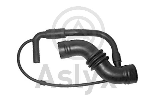 Intake Hose, air filter (AS-203048)