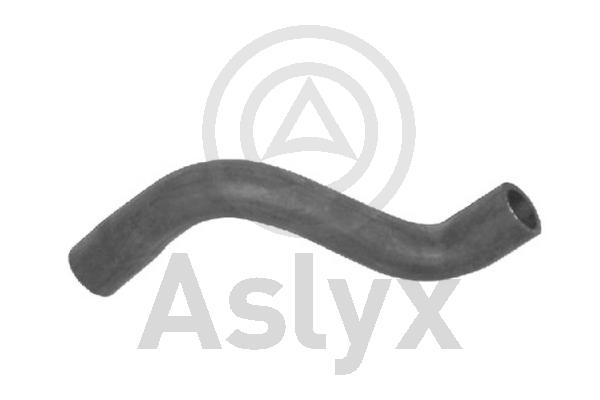 Radiator Hose (AS-203819)