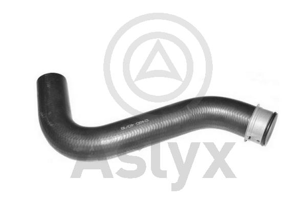 Radiator Hose (AS-510035)