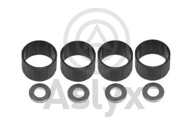 Seal Kit, injector nozzle (AS-506378)