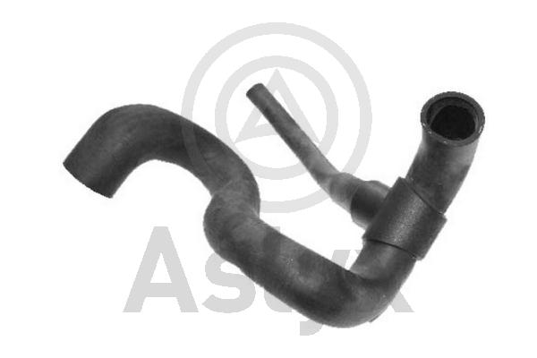 Radiator Hose (AS-204017)