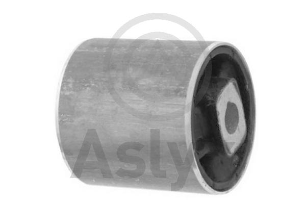 Mounting, control/trailing arm (AS-201830)