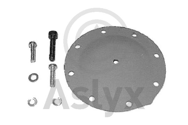 Repair Set, vacuum pump (braking system) (AS-200334)