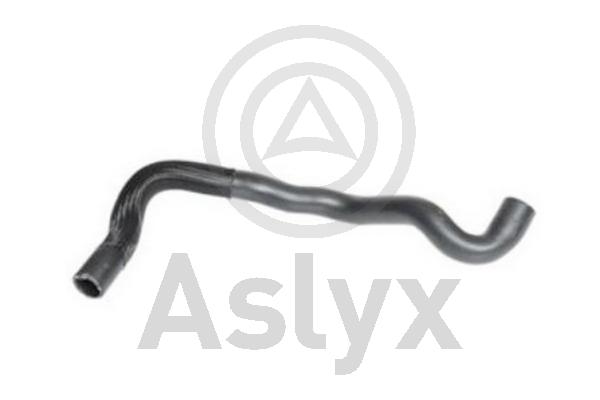 Radiator Hose (AS-509684)