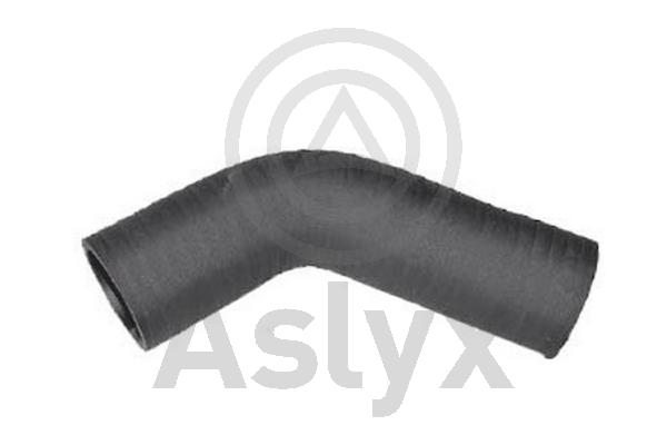 Charge Air Hose (AS-204245)