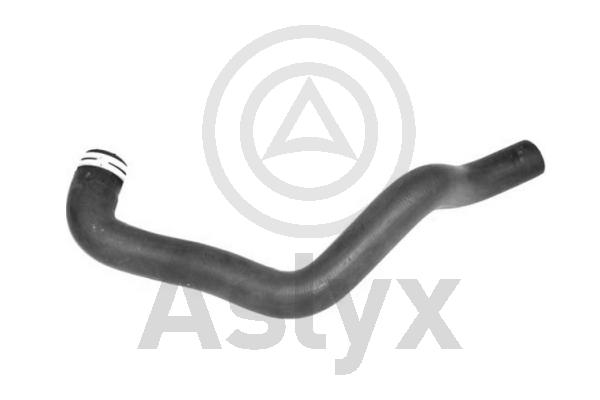 Radiator Hose (AS-594080)