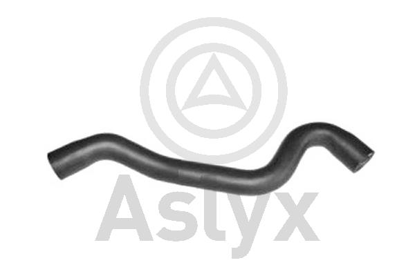 Radiator Hose (AS-203754)