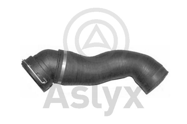 Charge Air Hose (AS-509788)