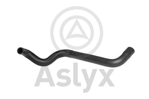 Radiator Hose (AS-204221)