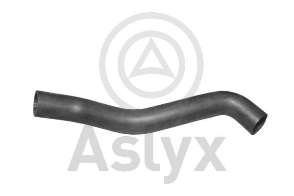 Radiator Hose (AS-202495)