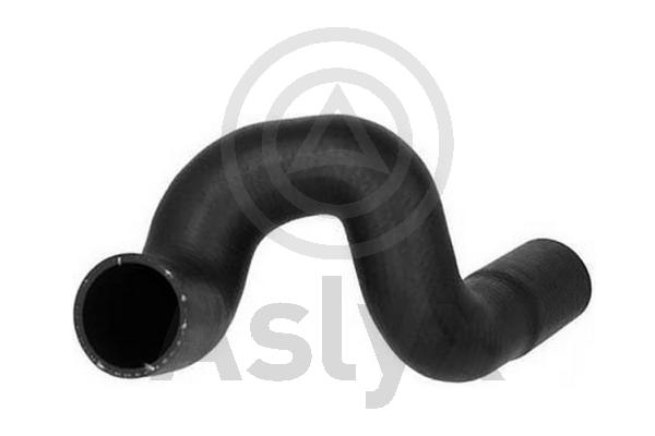 Charge Air Hose (AS-509616)