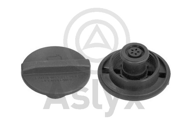 Cap, radiator (AS-535826)