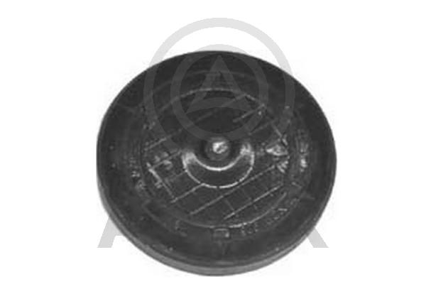 Plug, rocker arm shaft mounting bore (AS-506227)