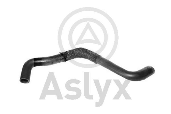 Radiator Hose (AS-204195)