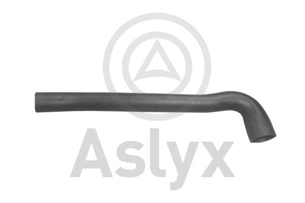 Radiator Hose (AS-203524)
