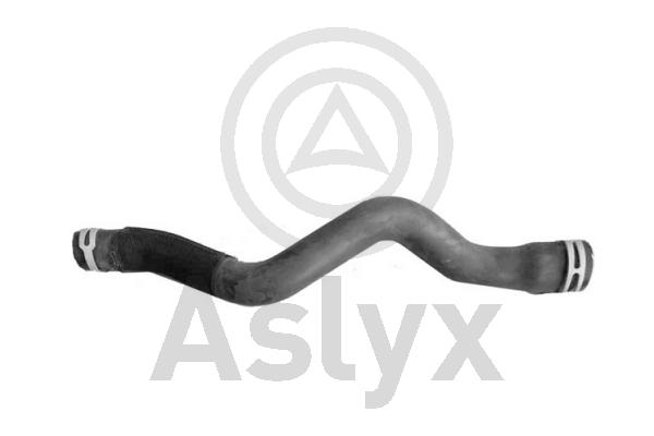 Radiator Hose (AS-509643)