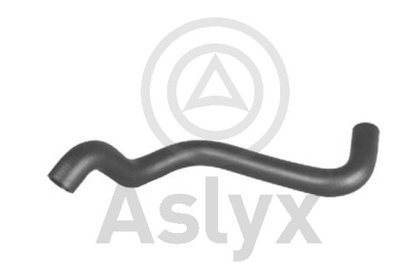 Radiator Hose (AS-203549)