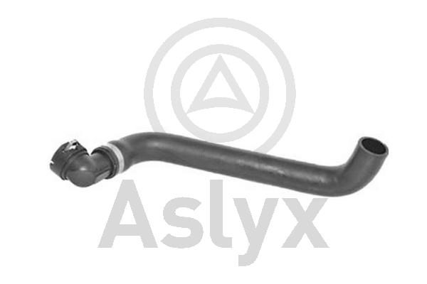 Radiator Hose (AS-204425)