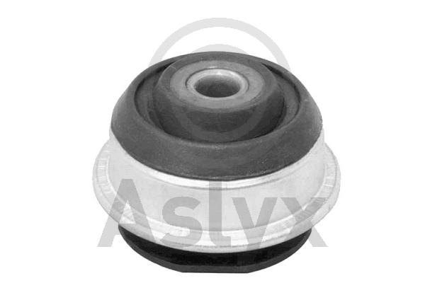 Mounting, control/trailing arm (AS-202928)