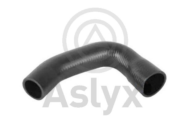 Charge Air Hose (AS-509768)