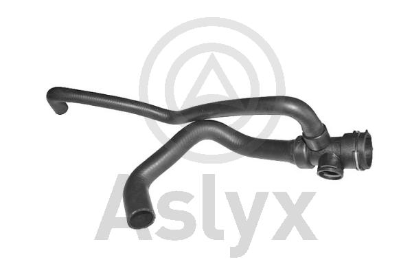 Radiator Hose (AS-204310)