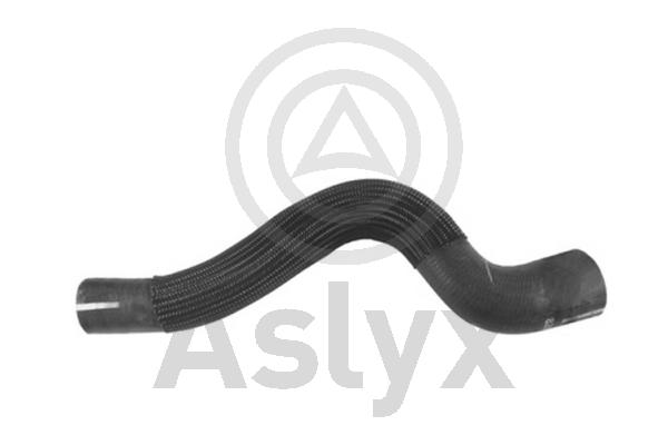 Radiator Hose (AS-509588)