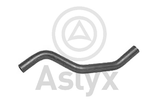 Radiator Hose (AS-203779)