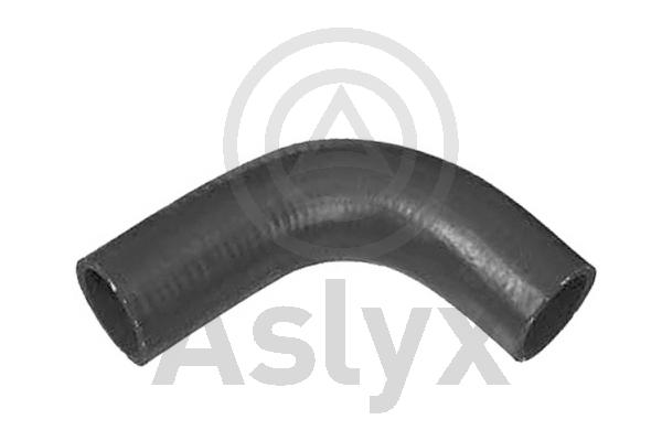 Radiator Hose (AS-204422)
