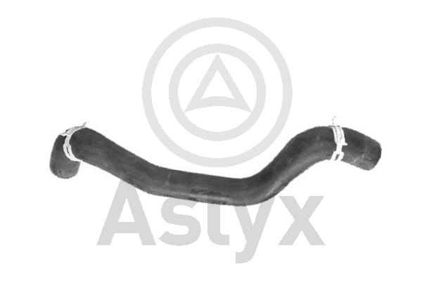 Radiator Hose (AS-203938)