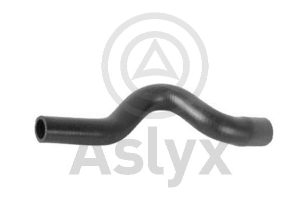 Radiator Hose (AS-204208)