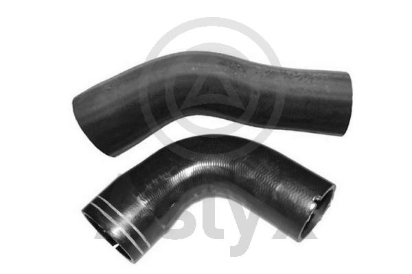 Charge Air Hose (AS-509769)