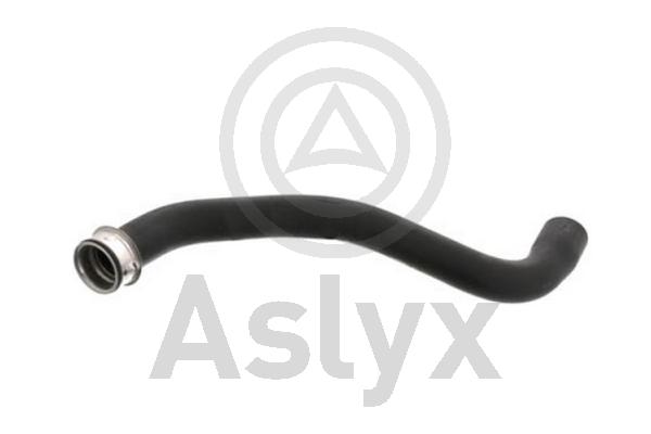 Radiator Hose (AS-510054)