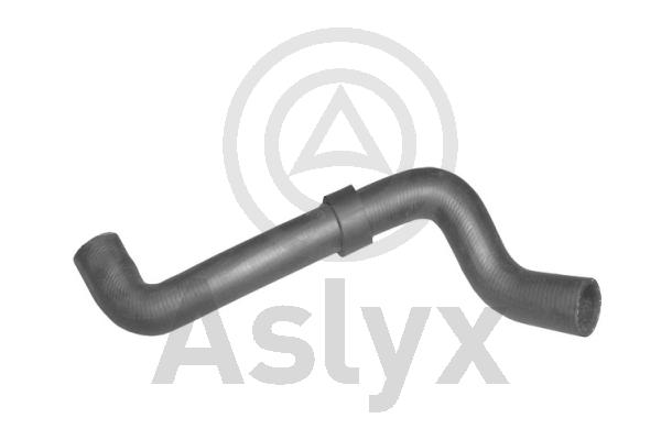 Radiator Hose (AS-203585)