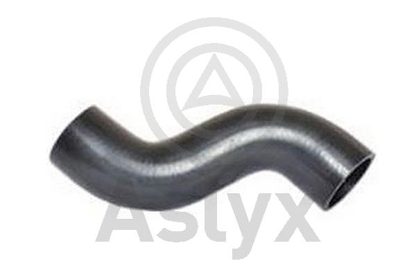 Charge Air Hose (AS-509860)