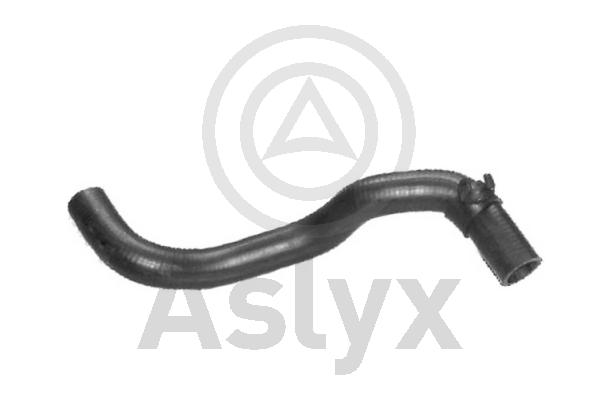 Radiator Hose (AS-203912)