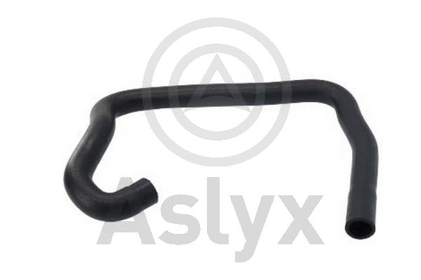 Radiator Hose (AS-203579)