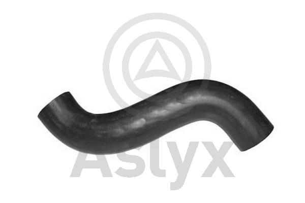 Radiator Hose (AS-510026)