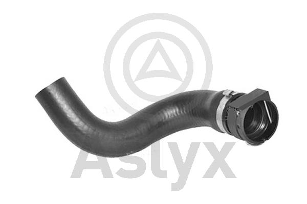 Radiator Hose (AS-204358)