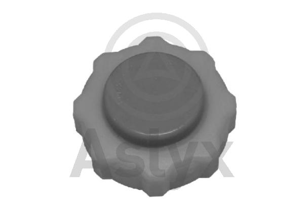 Cap, coolant tank (AS-201264)
