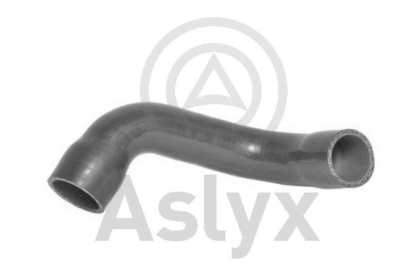 Charge Air Hose (AS-509671)