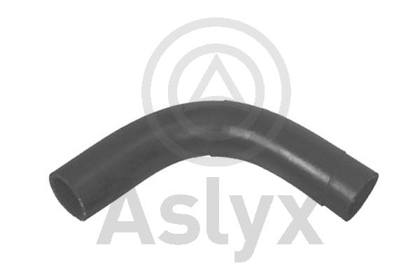 Radiator Hose (AS-203553)