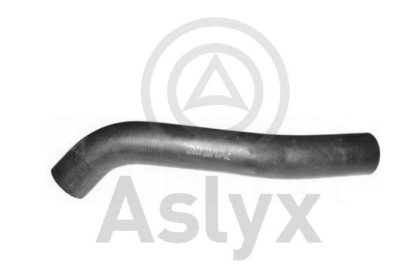 Radiator Hose (AS-510025)