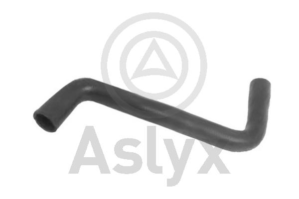 Radiator Hose (AS-204183)