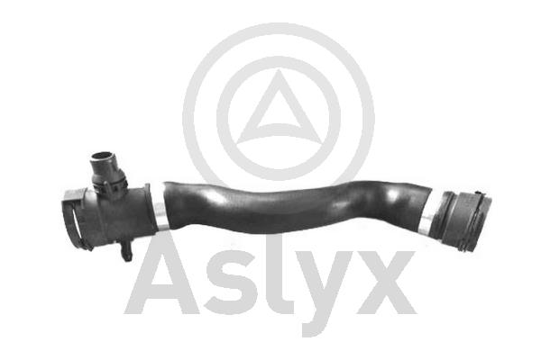 Radiator Hose (AS-509939)