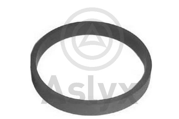 Gasket, intake manifold (AS-521029)