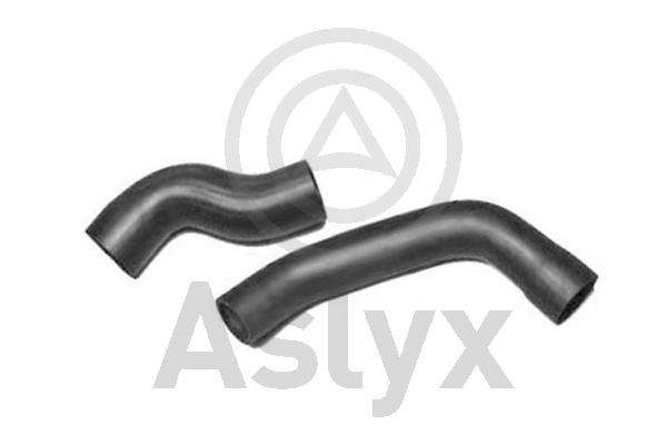 Charge Air Hose (AS-509758)