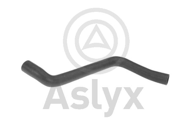 Radiator Hose (AS-203752)