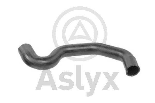 Radiator Hose (AS-203771)