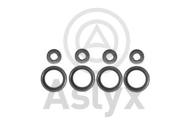 Seal Kit, injector nozzle (AS-506411)