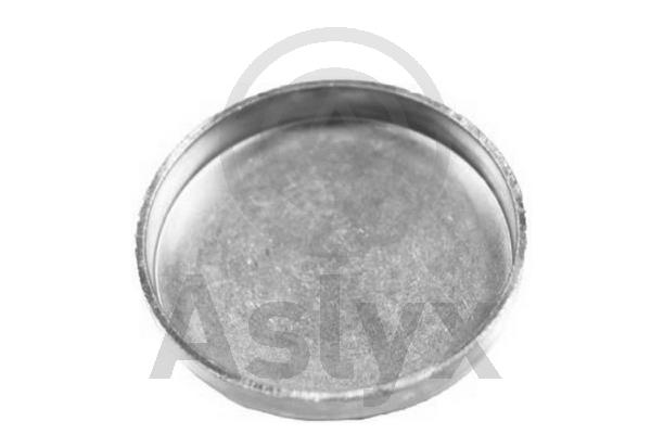 Frost Plug (AS-200834)